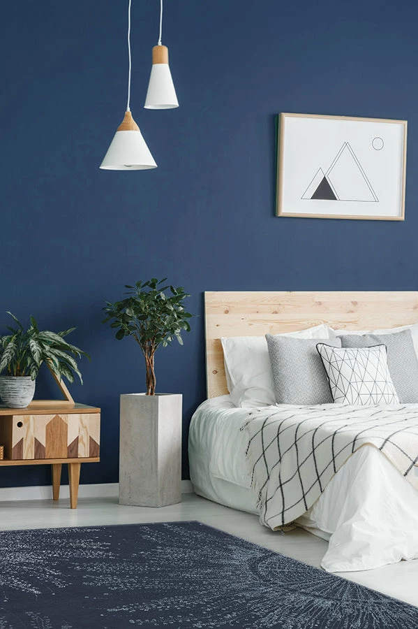 Best Pirce π Ruggable Sale Jellyfish Bloom Navy Rug β¨ - Image 4