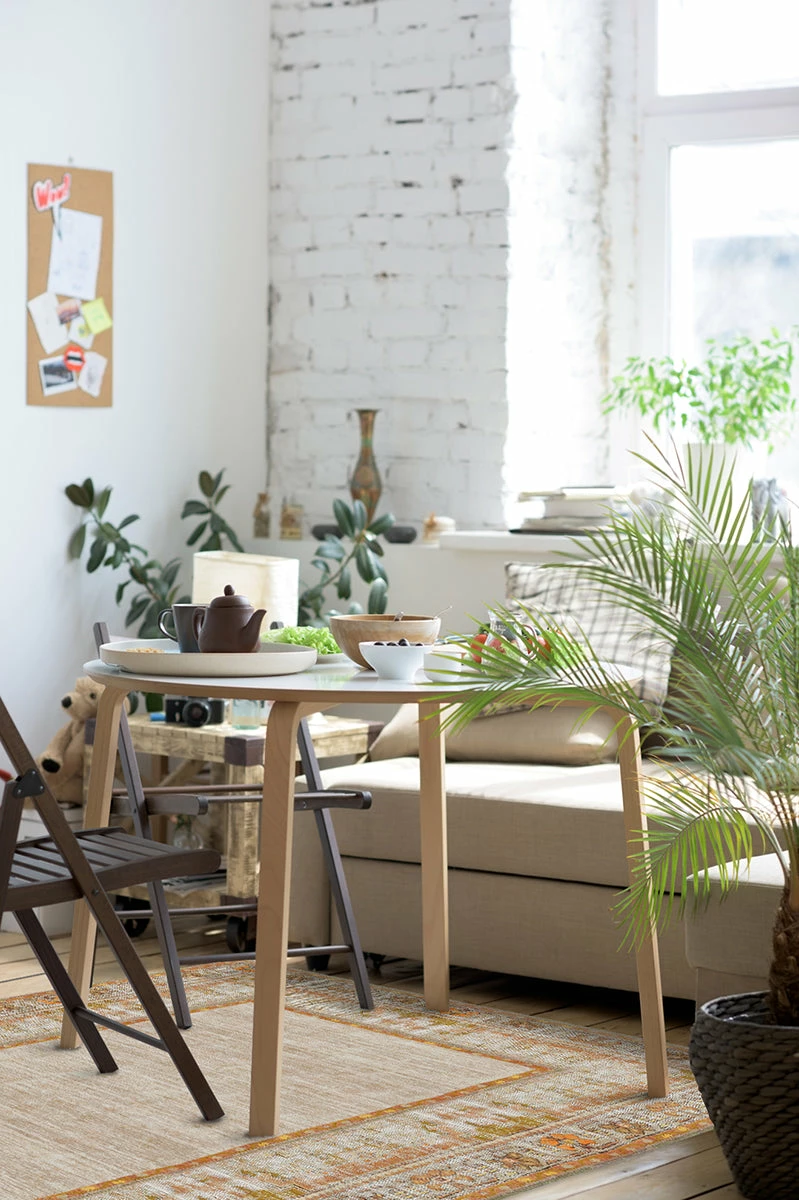 Best reviews of π Ruggable Vintage Daisy Bordered Tangerine Rug π - Image 4