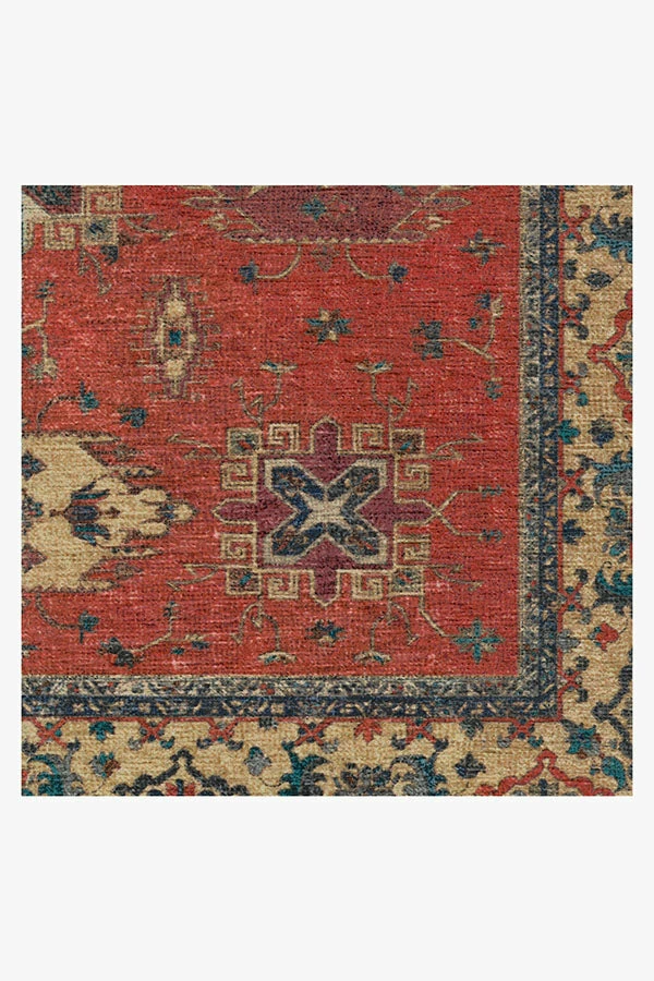 New 𧨠Ruggable Ademi Paprika Red Rug π - Image 3